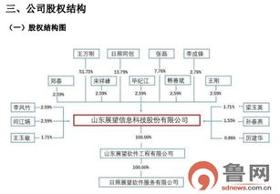 青岛展望科技冲刺新三板 信息系统集成服务发力，年利润跃升百万实现扭亏为盈